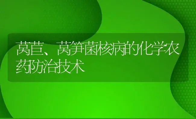 莴苣、莴笋菌核病的化学农药防治技术 | 植物病虫害