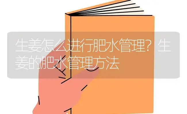 生姜怎么进行肥水管理？生姜的肥水管理方法 | 蔬菜种植