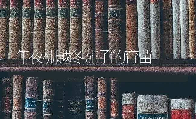 萝卜为什么会分叉？萝卜分叉怎么办？ | 蔬菜种植