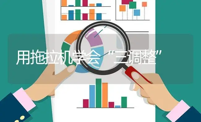 用拖拉机学会“三调整” | 农资农机