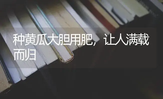 越冬丝瓜管理不可少 | 蔬菜种植