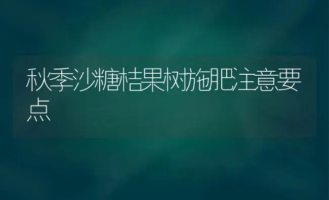 秋季沙糖桔果树施肥注意要点 | 植物肥料