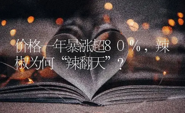 价格一年暴涨超80%，辣椒为何“辣翻天”？ | 蔬菜种植