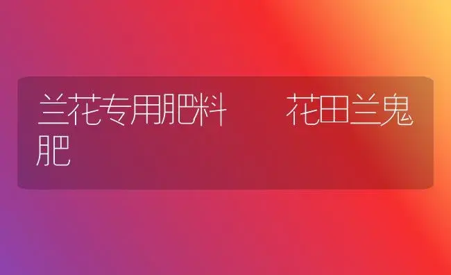 兰花专用肥料――花田兰鬼肥 | 植物肥料