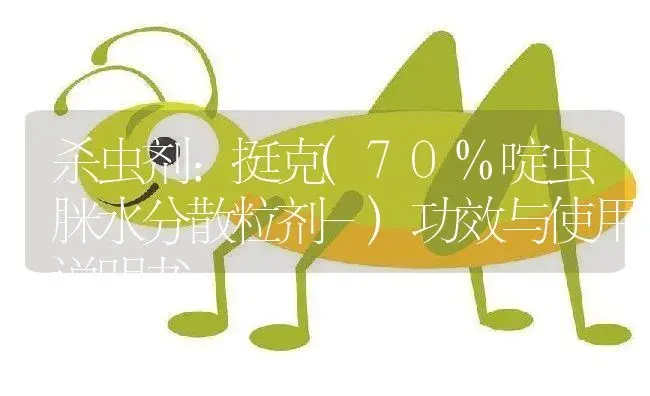 杀虫剂：挺克(70%啶虫脒水分散粒剂-) | 适用防治对象及农作物使用方法说明书 | 植物农药