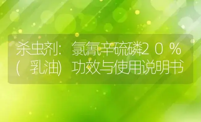 杀虫剂：氯氰辛硫磷20%(乳油) | 适用防治对象及农作物使用方法说明书 | 植物农药