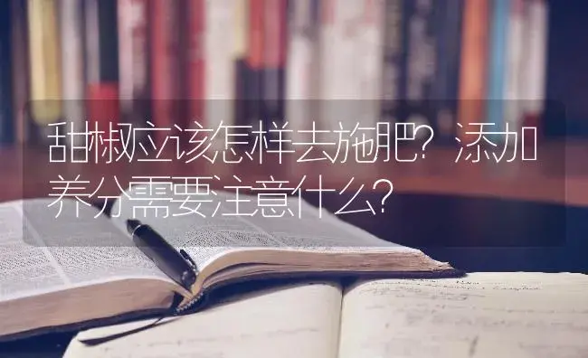 甜椒应该怎样去施肥？添加养分需要注意什么？ | 蔬菜种植