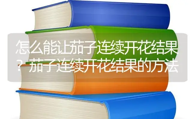 怎么能让茄子连续开花结果？茄子连续开花结果的方法 | 蔬菜种植