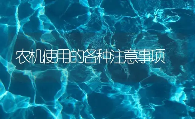 农机使用的各种注意事项 | 农资农机