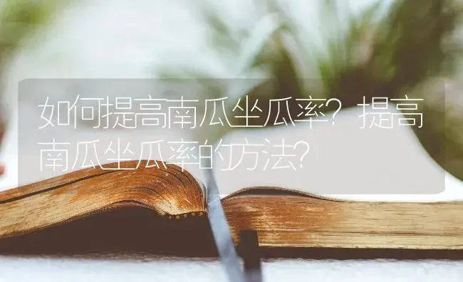 如何提高南瓜坐瓜率？提高南瓜坐瓜率的方法？ | 蔬菜种植