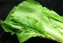 小白菜的贮运保鲜