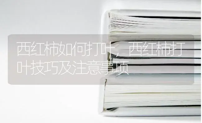 西红柿如何打叶，西红柿打叶技巧及注意事项 | 蔬菜种植