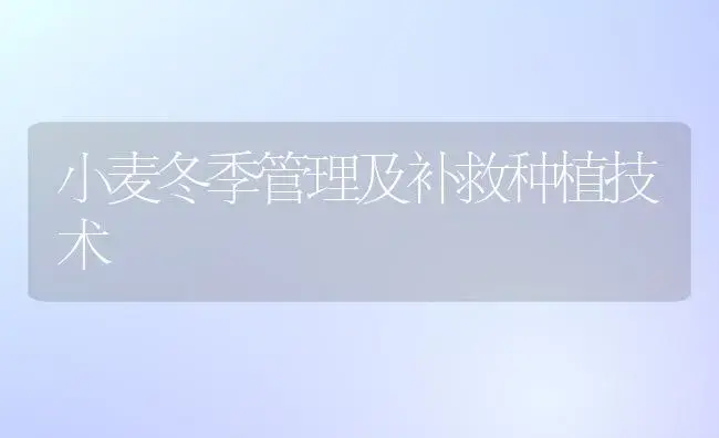 室内过冬的君子兰要施肥吗 | 植物肥料