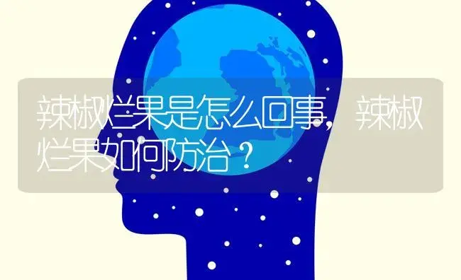 辣椒烂果是怎么回事，辣椒烂果如何防治？ | 蔬菜种植