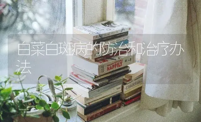 白菜白斑病的防治和治疗办法 | 蔬菜种植