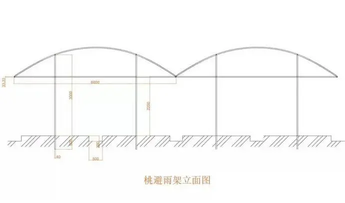 桃树种植实用技术