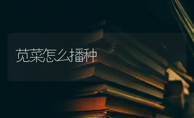 苋菜怎么播种 | 蔬菜种植