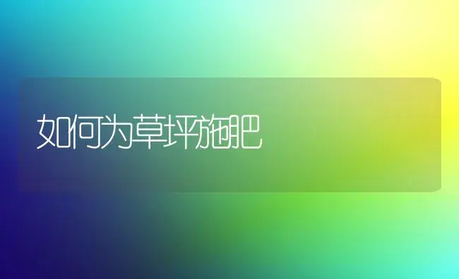 如何为草坪施肥 | 植物肥料