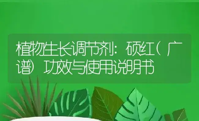 植物生长调节剂：硕红(广谱) | 适用防治对象及农作物使用方法说明书 | 植物农药