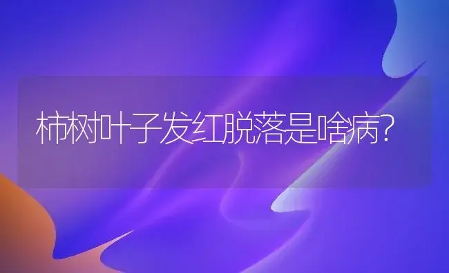 柿树叶子发红脱落是啥病？ | 植物病虫害