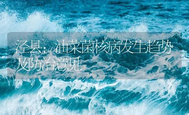 泾县：油菜菌核病发生趋势及防治意见 | 植物病虫害