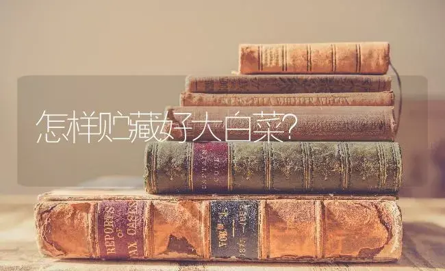 南瓜是热性还是凉性？ | 蔬菜种植