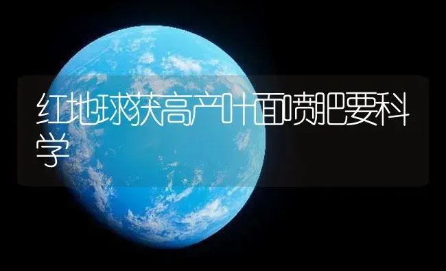 红地球获高产叶面喷肥要科学 | 植物肥料