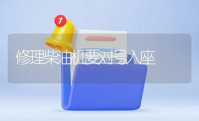 修理柴油机要对号入座 | 农资农机