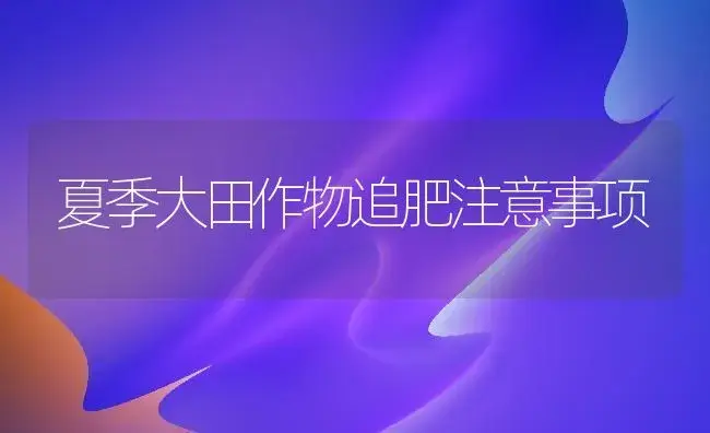 夏季大田作物追肥注意事项 | 植物肥料