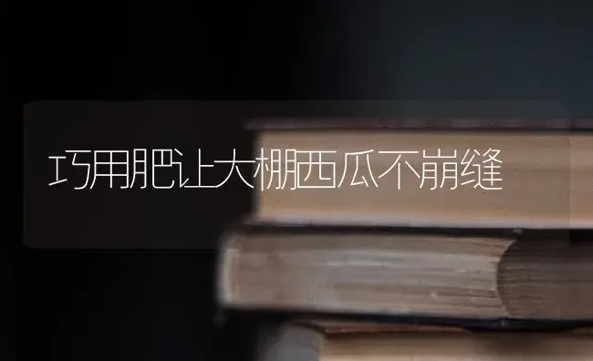 巧用肥让大棚西瓜不崩缝 | 蔬菜种植