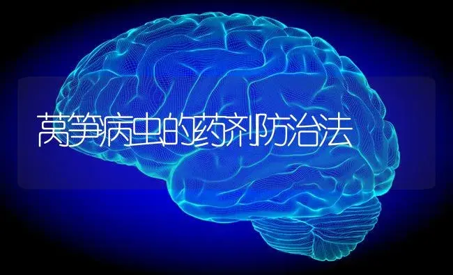 莴笋病虫的药剂防治法 | 蔬菜种植