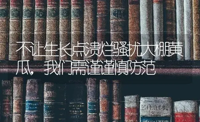 不让生长点溃烂骚扰大棚黄瓜，我们需谨谨慎防范 | 蔬菜种植