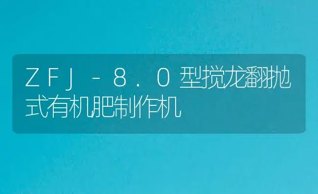 ZFJ-8.0型搅龙翻抛式有机肥制作机 | 农资农机