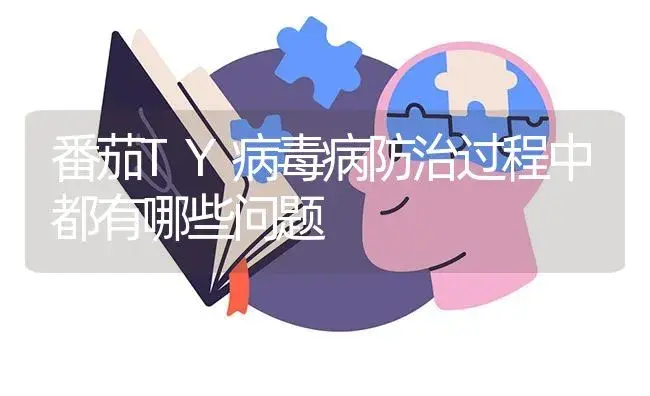 番茄TY病毒病防治过程中都有哪些问题 | 蔬菜种植