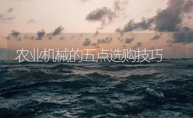 农业机械的五点选购技巧 | 农资农机