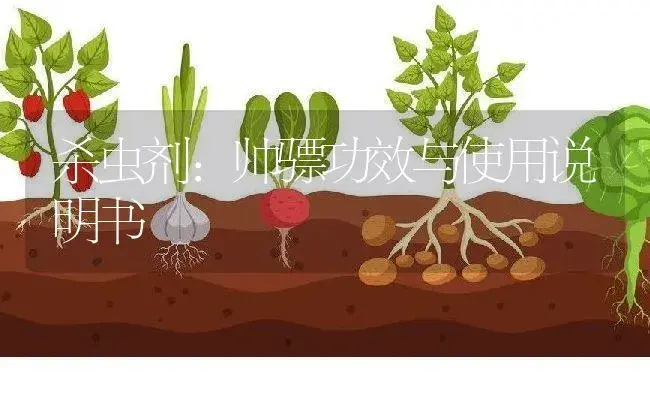 杀虫剂：帅骠 | 适用防治对象及农作物使用方法说明书 | 植物农药