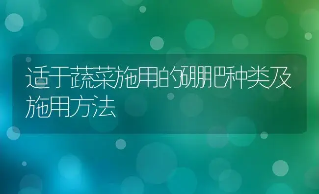 适于蔬菜施用的硼肥种类及施用方法 | 植物肥料