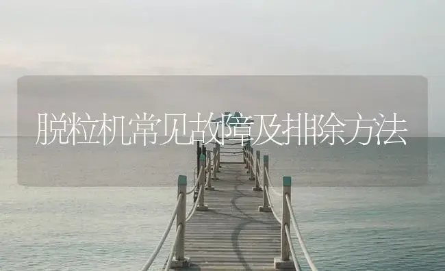 脱粒机常见故障及排除方法 | 农资农机