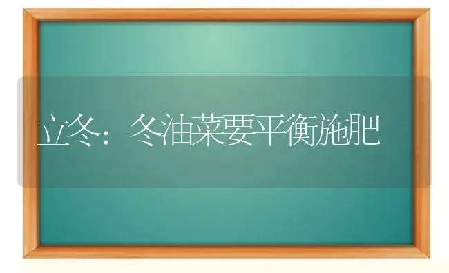 立冬：冬油菜要平衡施肥 | 植物肥料