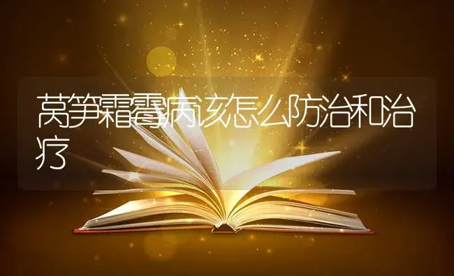 怎么防治和治疗西瓜阴皮病？西瓜阴皮病防治和治疗技巧 | 蔬菜种植