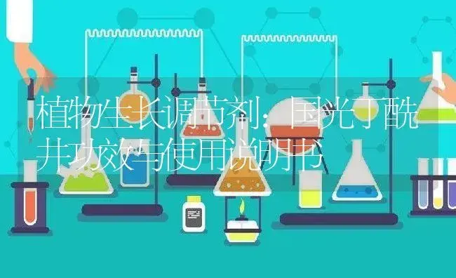 植物生长调节剂：国光丁酰井 | 适用防治对象及农作物使用方法说明书 | 植物农药