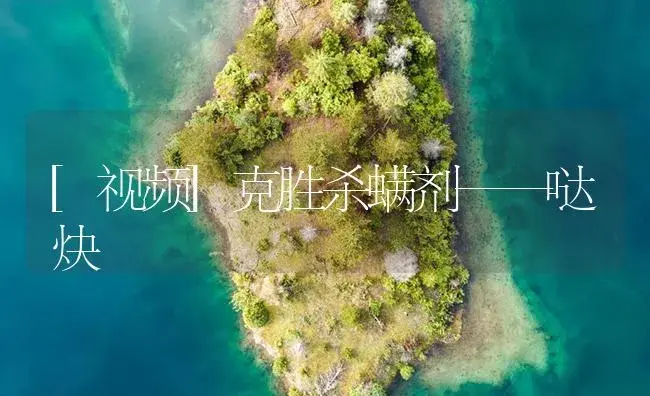 [视频]克胜杀螨剂——哒炔 | 植物病虫害