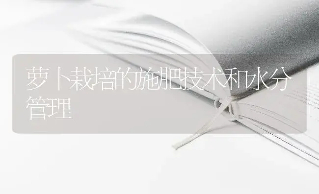 萝卜栽培的施肥技术和水分管理 | 蔬菜种植