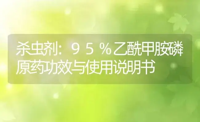 杀虫剂：95%乙酰甲胺磷原药 | 适用防治对象及农作物使用方法说明书 | 植物农药