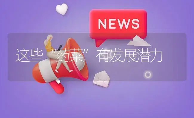 这些“药菜”有发展潜力 | 植物农药