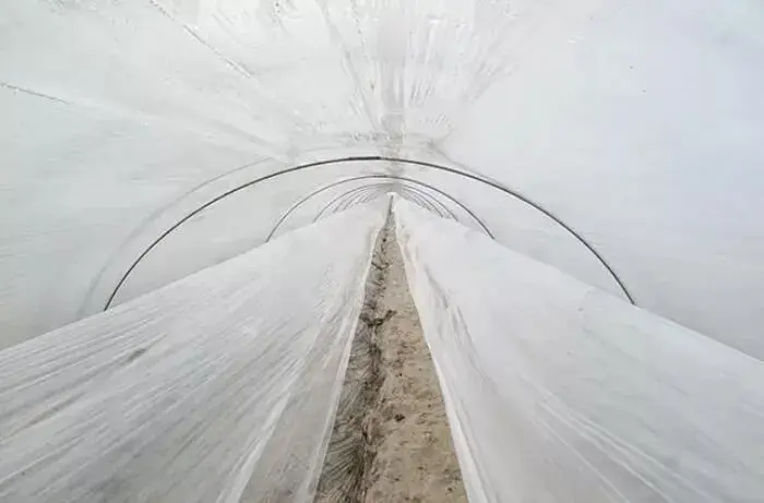 春提早设施蔬菜这样覆膜成效好，一亩增收2000元！