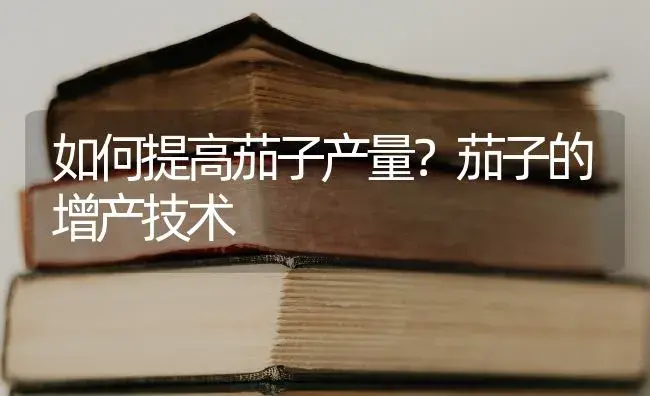 如何提高茄子产量？茄子的增产技术 | 蔬菜种植