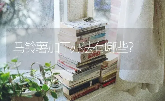 马铃薯加工办法有哪些？ | 蔬菜种植