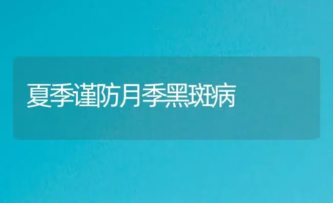 夏季谨防月季黑斑病 | 植物病虫害