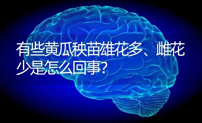 有些黄瓜秧苗雄花多、雌花少是怎么回事？ | 蔬菜种植